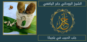 جلب الحبيب في بلجيكا