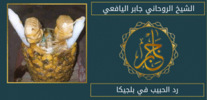 رد الحبيب في بلجيكا